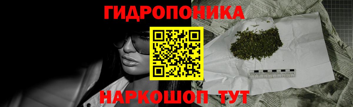 МАРИХУАНА сатива Сунжа